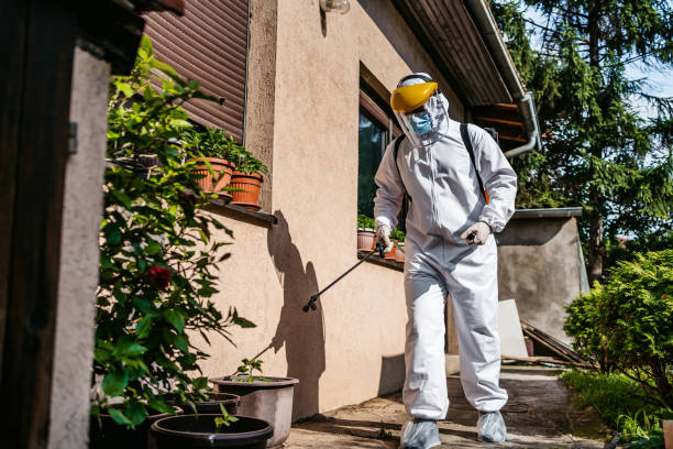 Best Flea Control Services  in Oregon, OH