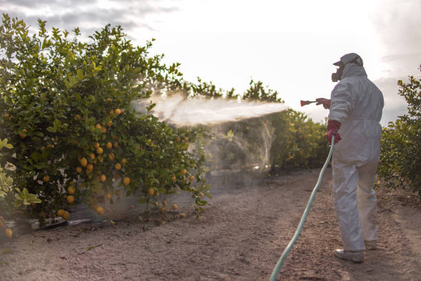 Wasp Removal Services in Oregon, OH