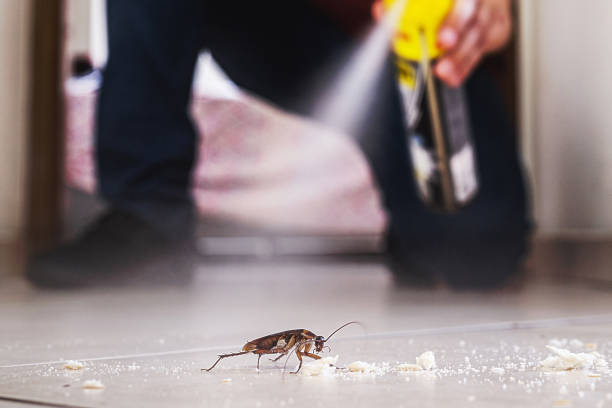Best Pest Control Near Me in Oregon, OH