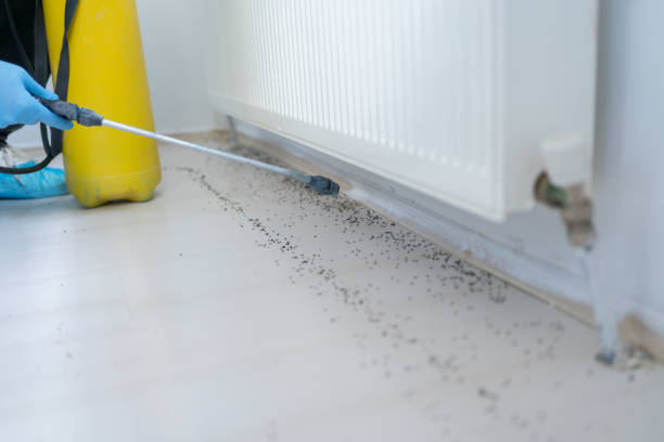 Best Termite Control Services  in Oregon, OH