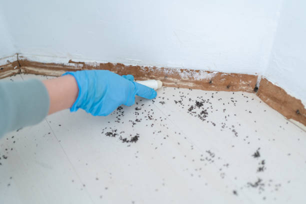 Trusted Oregon, OH Pest Control Experts